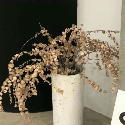 Furry插画光影技巧兽圈社群